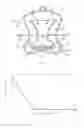 Fig. 02 - Nanosuspension containing particles and extract of natural materials