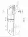 Fig. 06 - Therapeutic composition comprising insulin prepared for delivery into an intestinal tract
