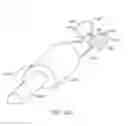Fig. 22 - Therapeutic composition comprising insulin prepared for delivery into an intestinal tract