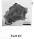Fig. 02 - Process for forming Janus particles and application thereof