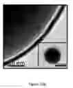 Fig. 06 - Process for forming Janus particles and application thereof