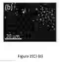 Fig. 08 - Process for forming Janus particles and application thereof