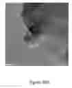 Fig. 12 - Process for forming Janus particles and application thereof