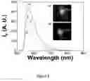 Fig. 17 - Process for forming Janus particles and application thereof