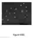 Fig. 23 - Process for forming Janus particles and application thereof