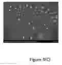 Fig. 24 - Process for forming Janus particles and application thereof