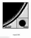 Fig. 06 - Janus particles and application thereof