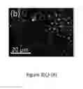 Fig. 08 - Janus particles and application thereof