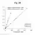 Fig. 04 - PHARMACEUTICAL COMPOSITIONS OF 5-HYDROXY-2-METHYLNAPHTHALENE-1,4-DIONE