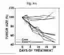 Fig. 07 - PHARMACEUTICAL COMPOSITIONS OF 5-HYDROXY-2-METHYLNAPHTHALENE-1,4-DIONE