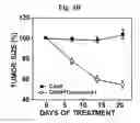 Fig. 08 - PHARMACEUTICAL COMPOSITIONS OF 5-HYDROXY-2-METHYLNAPHTHALENE-1,4-DIONE
