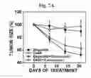 Fig. 12 - PHARMACEUTICAL COMPOSITIONS OF 5-HYDROXY-2-METHYLNAPHTHALENE-1,4-DIONE