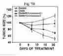 Fig. 15 - PHARMACEUTICAL COMPOSITIONS OF 5-HYDROXY-2-METHYLNAPHTHALENE-1,4-DIONE