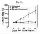 Fig. 18 - PHARMACEUTICAL COMPOSITIONS OF 5-HYDROXY-2-METHYLNAPHTHALENE-1,4-DIONE