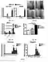 Fig. 02 - PREVENTION OF ROSACEA INFLAMMATION