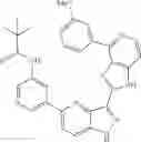 Fig. 1005 - 3-(1H-imidazo[4,5-C]pyridin-2-yl)-1H-pyrazolo[4,3-B]pyridines and therapeutic uses thereof
