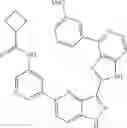 Fig. 1017 - 3-(1H-imidazo[4,5-C]pyridin-2-yl)-1H-pyrazolo[4,3-B]pyridines and therapeutic uses thereof