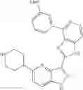 Fig. 1025 - 3-(1H-imidazo[4,5-C]pyridin-2-yl)-1H-pyrazolo[4,3-B]pyridines and therapeutic uses thereof