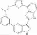 Fig. 1049 - 3-(1H-imidazo[4,5-C]pyridin-2-yl)-1H-pyrazolo[4,3-B]pyridines and therapeutic uses thereof