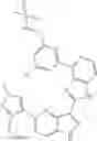 Fig. 1150 - 3-(1H-imidazo[4,5-C]pyridin-2-yl)-1H-pyrazolo[4,3-B]pyridines and therapeutic uses thereof