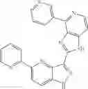 Fig. 119 - 3-(1H-imidazo[4,5-C]pyridin-2-yl)-1H-pyrazolo[4,3-B]pyridines and therapeutic uses thereof