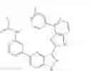 Fig. 1221 - 3-(1H-imidazo[4,5-C]pyridin-2-yl)-1H-pyrazolo[4,3-B]pyridines and therapeutic uses thereof