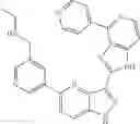 Fig. 125 - 3-(1H-imidazo[4,5-C]pyridin-2-yl)-1H-pyrazolo[4,3-B]pyridines and therapeutic uses thereof