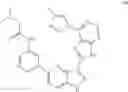 Fig. 1255 - 3-(1H-imidazo[4,5-C]pyridin-2-yl)-1H-pyrazolo[4,3-B]pyridines and therapeutic uses thereof