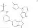 Fig. 1256 - 3-(1H-imidazo[4,5-C]pyridin-2-yl)-1H-pyrazolo[4,3-B]pyridines and therapeutic uses thereof