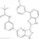 Fig. 15 - 3-(1H-imidazo[4,5-C]pyridin-2-yl)-1H-pyrazolo[4,3-B]pyridines and therapeutic uses thereof