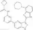 Fig. 196 - 3-(1H-imidazo[4,5-C]pyridin-2-yl)-1H-pyrazolo[4,3-B]pyridines and therapeutic uses thereof