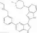 Fig. 237 - 3-(1H-imidazo[4,5-C]pyridin-2-yl)-1H-pyrazolo[4,3-B]pyridines and therapeutic uses thereof