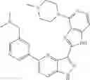 Fig. 244 - 3-(1H-imidazo[4,5-C]pyridin-2-yl)-1H-pyrazolo[4,3-B]pyridines and therapeutic uses thereof