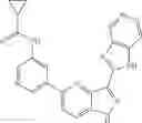 Fig. 279 - 3-(1H-imidazo[4,5-C]pyridin-2-yl)-1H-pyrazolo[4,3-B]pyridines and therapeutic uses thereof