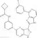Fig. 28 - 3-(1H-imidazo[4,5-C]pyridin-2-yl)-1H-pyrazolo[4,3-B]pyridines and therapeutic uses thereof
