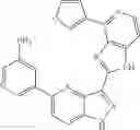 Fig. 318 - 3-(1H-imidazo[4,5-C]pyridin-2-yl)-1H-pyrazolo[4,3-B]pyridines and therapeutic uses thereof