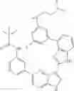 Fig. 463 - 3-(1H-imidazo[4,5-C]pyridin-2-yl)-1H-pyrazolo[4,3-B]pyridines and therapeutic uses thereof