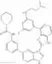 Fig. 478 - 3-(1H-imidazo[4,5-C]pyridin-2-yl)-1H-pyrazolo[4,3-B]pyridines and therapeutic uses thereof