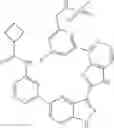 Fig. 504 - 3-(1H-imidazo[4,5-C]pyridin-2-yl)-1H-pyrazolo[4,3-B]pyridines and therapeutic uses thereof