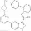 Fig. 565 - 3-(1H-imidazo[4,5-C]pyridin-2-yl)-1H-pyrazolo[4,3-B]pyridines and therapeutic uses thereof