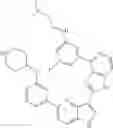 Fig. 791 - 3-(1H-imidazo[4,5-C]pyridin-2-yl)-1H-pyrazolo[4,3-B]pyridines and therapeutic uses thereof