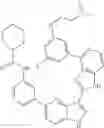 Fig. 821 - 3-(1H-imidazo[4,5-C]pyridin-2-yl)-1H-pyrazolo[4,3-B]pyridines and therapeutic uses thereof