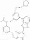 Fig. 855 - 3-(1H-imidazo[4,5-C]pyridin-2-yl)-1H-pyrazolo[4,3-B]pyridines and therapeutic uses thereof