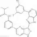 Fig. 896 - 3-(1H-imidazo[4,5-C]pyridin-2-yl)-1H-pyrazolo[4,3-B]pyridines and therapeutic uses thereof