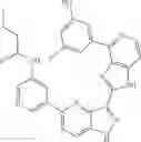 Fig. 904 - 3-(1H-imidazo[4,5-C]pyridin-2-yl)-1H-pyrazolo[4,3-B]pyridines and therapeutic uses thereof