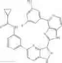 Fig. 906 - 3-(1H-imidazo[4,5-C]pyridin-2-yl)-1H-pyrazolo[4,3-B]pyridines and therapeutic uses thereof