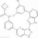 Fig. 907 - 3-(1H-imidazo[4,5-C]pyridin-2-yl)-1H-pyrazolo[4,3-B]pyridines and therapeutic uses thereof