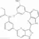 Fig. 932 - 3-(1H-imidazo[4,5-C]pyridin-2-yl)-1H-pyrazolo[4,3-B]pyridines and therapeutic uses thereof