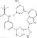 Fig. 939 - 3-(1H-imidazo[4,5-C]pyridin-2-yl)-1H-pyrazolo[4,3-B]pyridines and therapeutic uses thereof