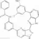 Fig. 942 - 3-(1H-imidazo[4,5-C]pyridin-2-yl)-1H-pyrazolo[4,3-B]pyridines and therapeutic uses thereof